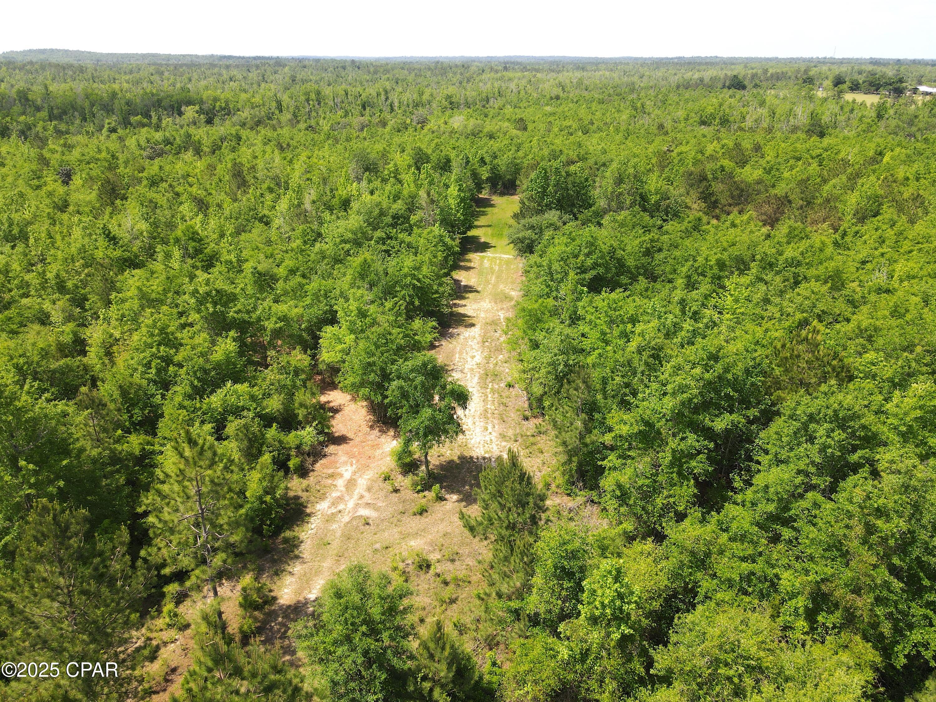 0 Mutual Road Cottondale, FL 32431 - Photo 1 of 38