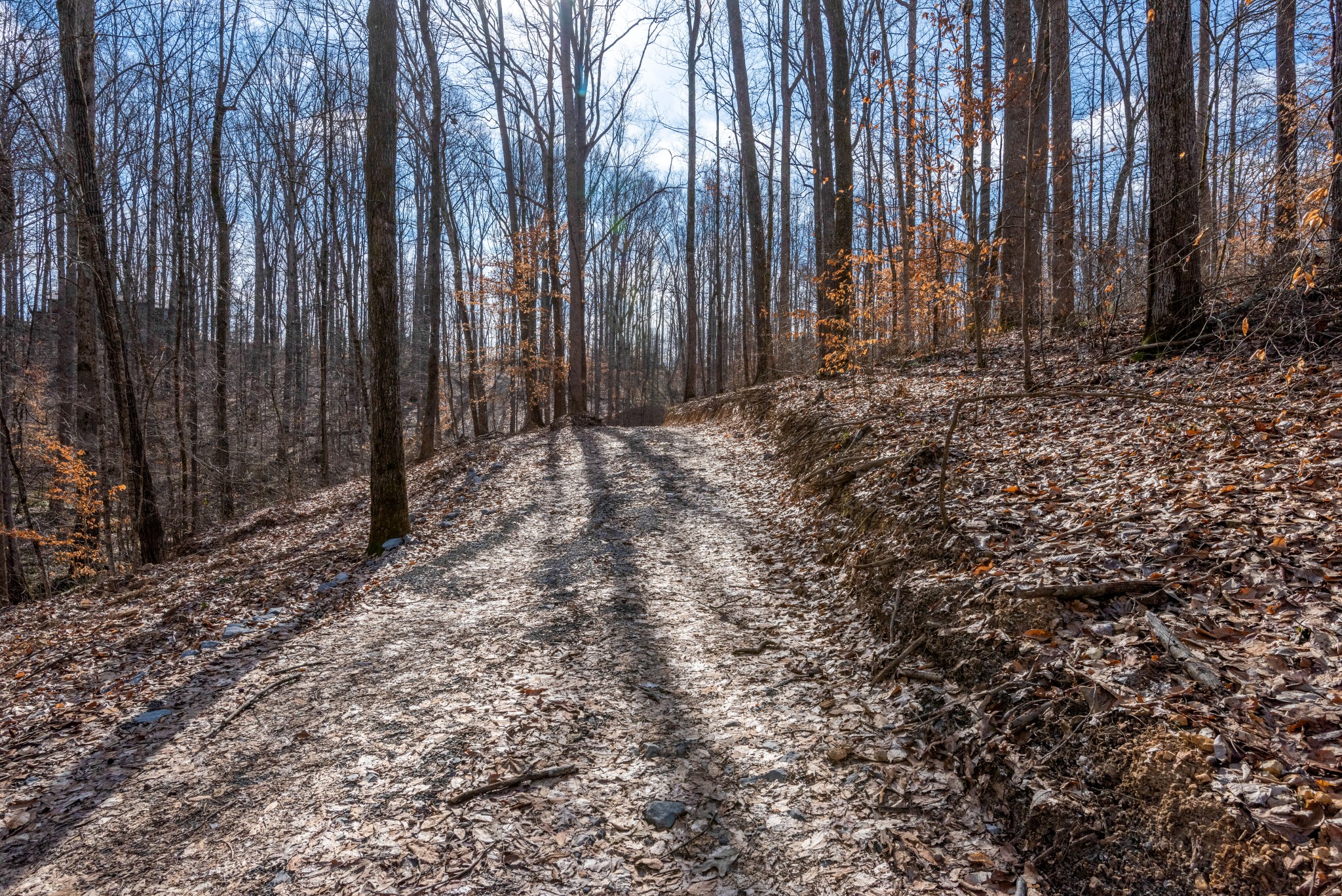 1045 Deer Ridge Road Kingston Springs, TN 37082 - Photo 2 of 19