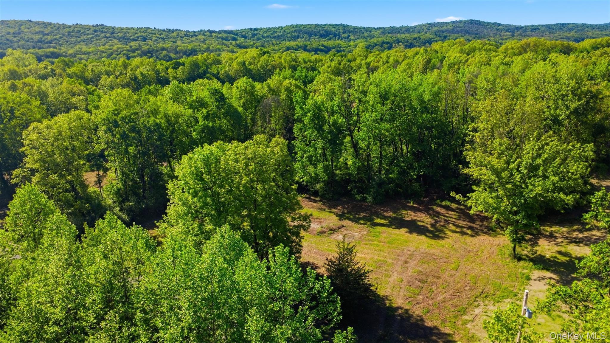 238 Bruceville Road High Falls, NY 12440 - Photo 10 of 15