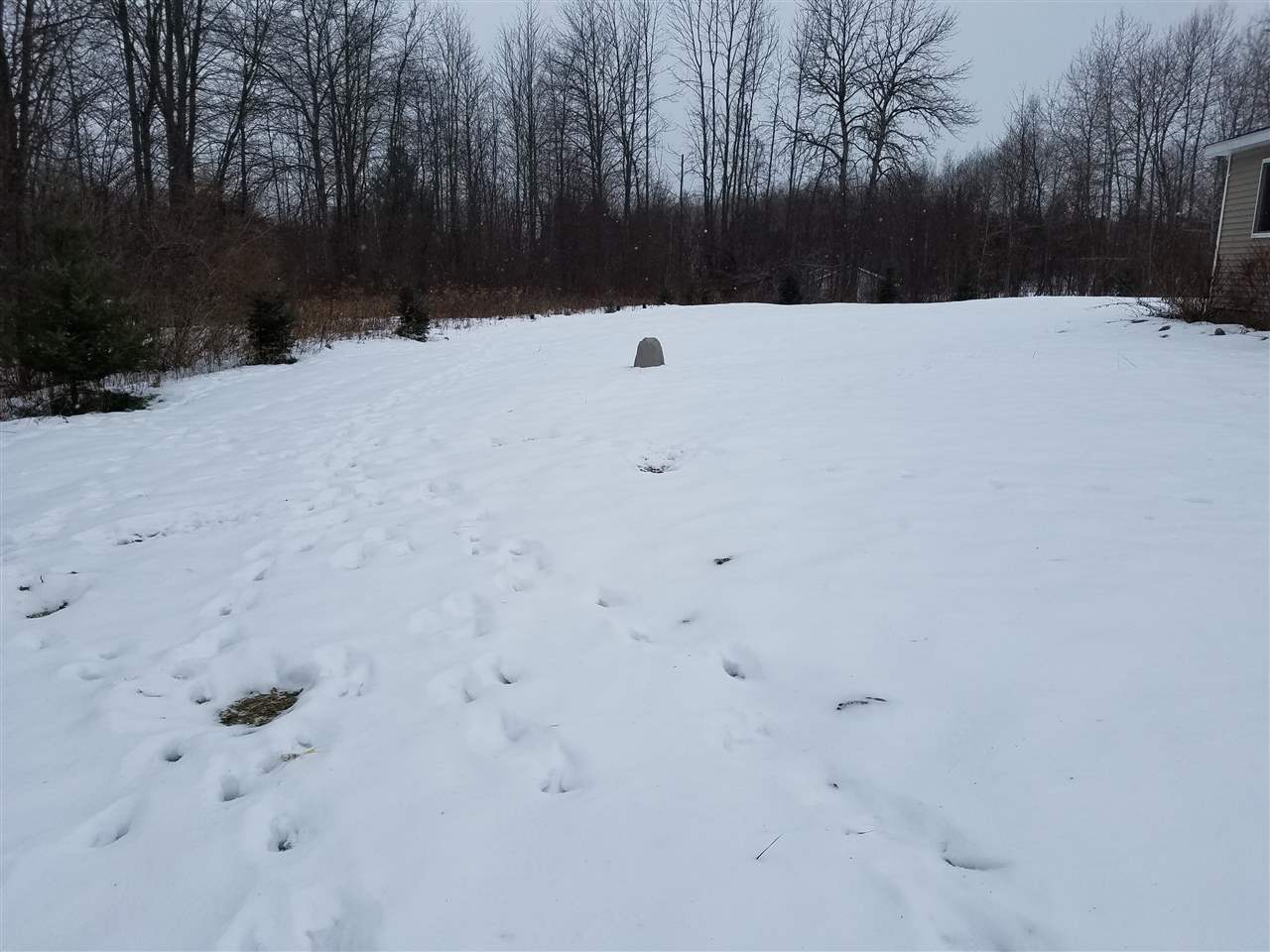 5039 East State Road Hale, MI 48739 - Photo 17 of 28 1826536-17.JPG