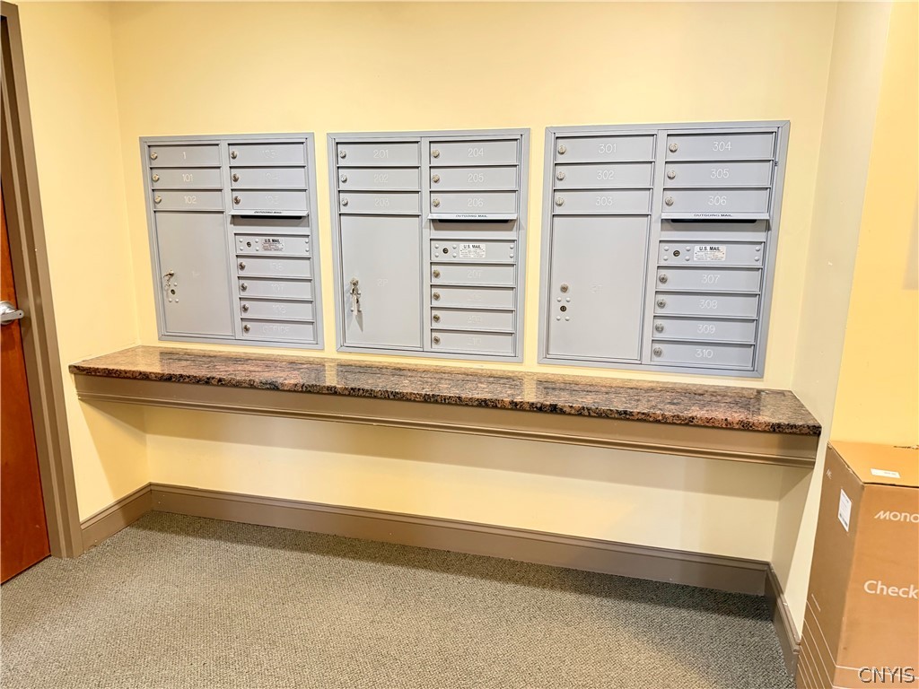 28 Maple Street, Unit 103 Marcellus, NY 13108 - Photo 35 of 41 Mailboxes-indoors