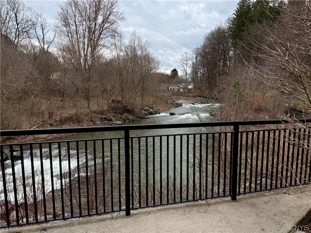 28 Maple Street, Unit 103 Marcellus, NY 13108 - Photo 5 of 41 9-mile creek.
