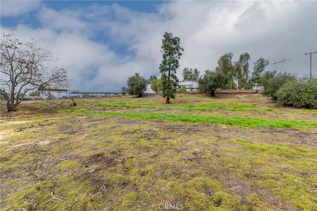 24363 Briggs Road Menifee, CA 92585 - Photo 42 of 43 a view of a yard with an trees