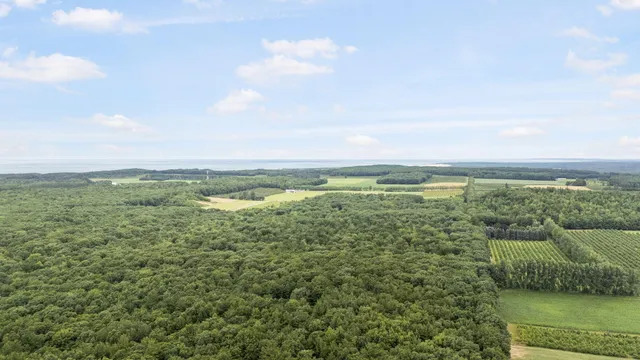 $120,000 | V/l West Woodrow Road, Shelby, MI 49455