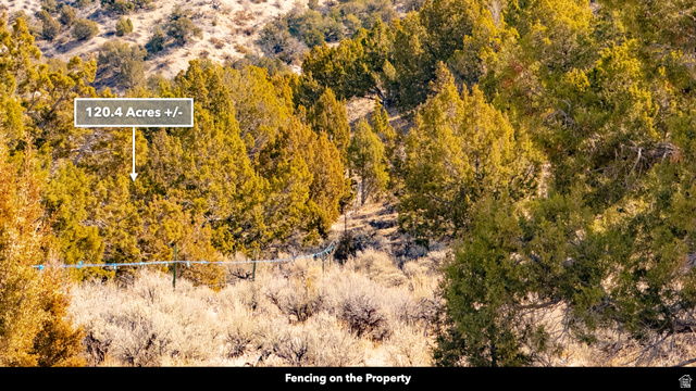 0 County Road 28 Levan, UT 84639 - Photo 38 of 207