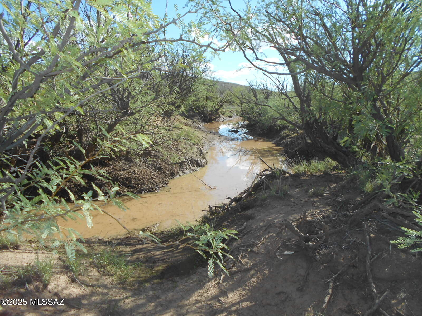 36.8-acres West Old Stewart Road, Unit 53 Willcox, AZ 85643 - Photo 14 of 42