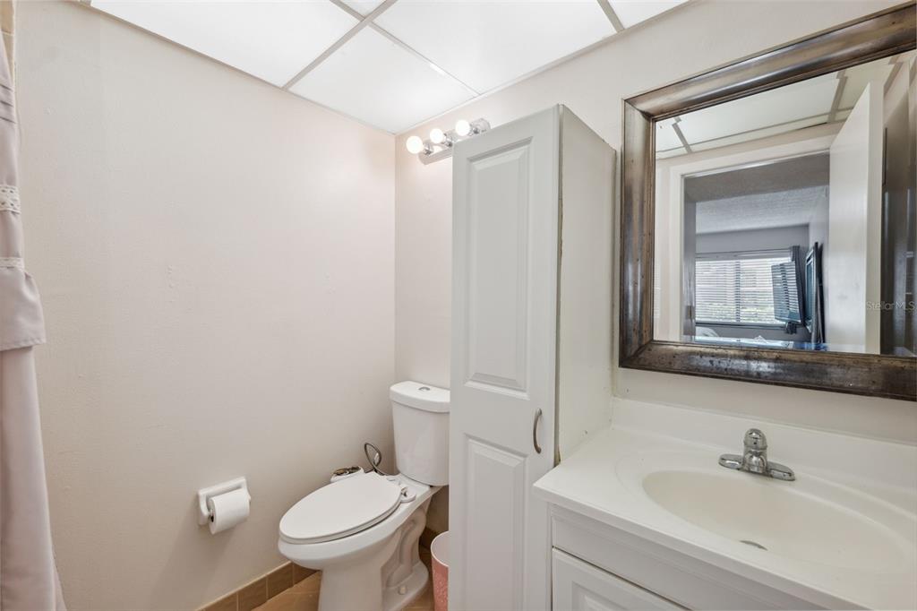 11809 Raintree Lake Lane, Unit A Tampa, FL 33617 - Photo 19 of 39