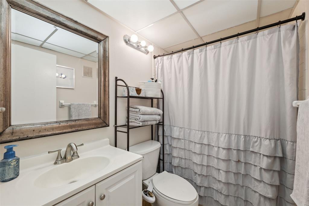 11809 Raintree Lake Lane, Unit A Tampa, FL 33617 - Photo 23 of 39