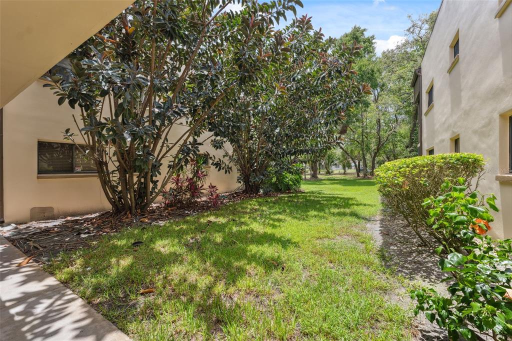 11809 Raintree Lake Lane, Unit A Tampa, FL 33617 - Photo 28 of 39