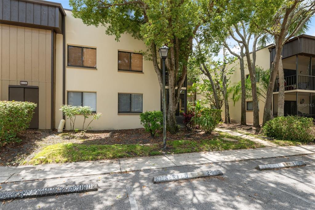 11809 Raintree Lake Lane, Unit A Tampa, FL 33617 - Photo 3 of 39