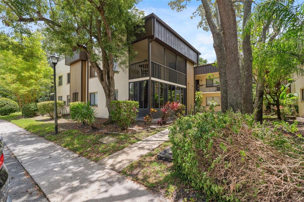 11809 Raintree Lake Lane, Unit A Tampa, FL 33617 - Photo 5 of 39