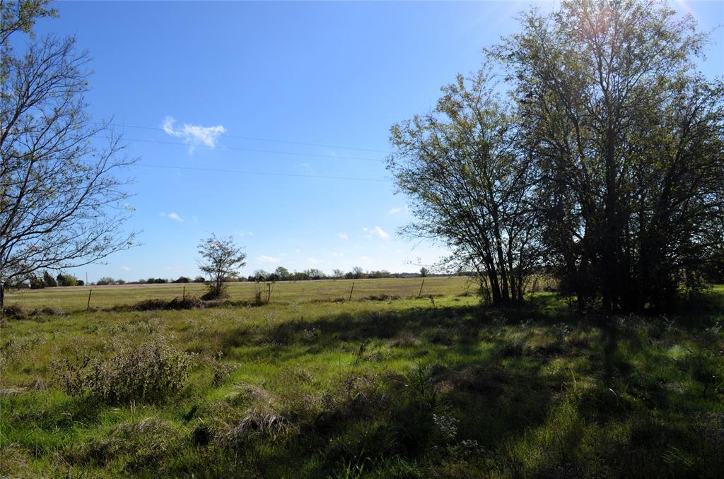 1 Fm 3080 Mabank, TX 75147 - Photo 18 of 19 a view of a green field with lots of trees