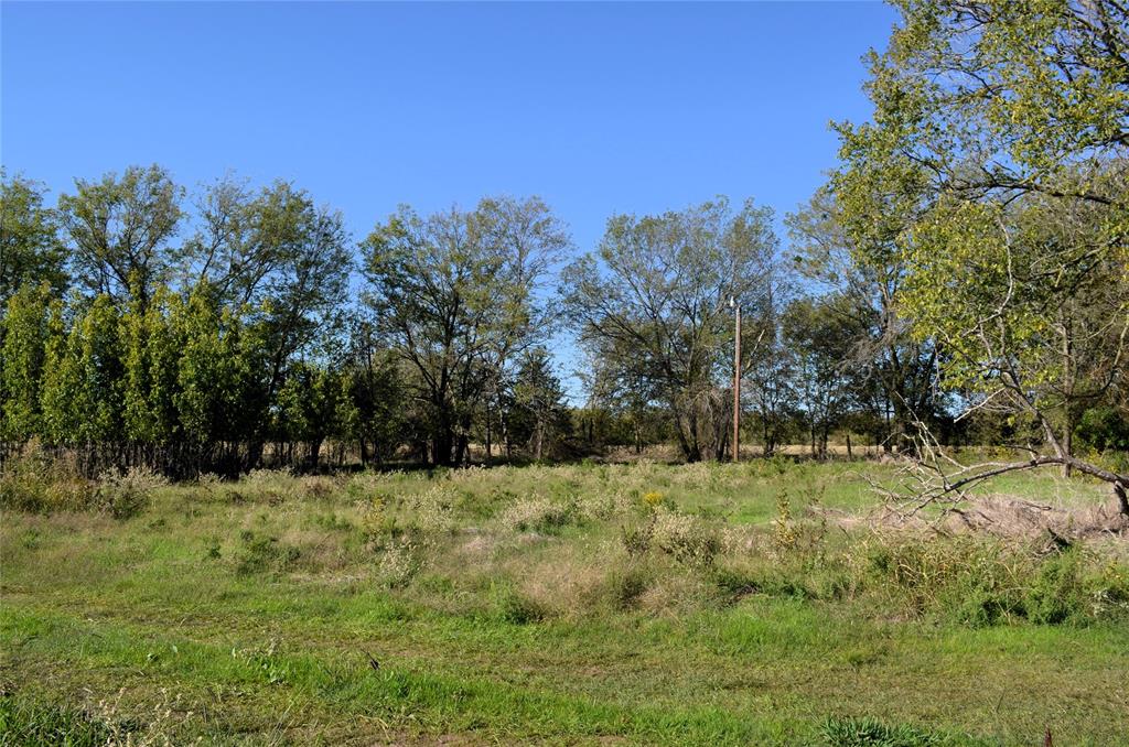 1 Fm 3080 Mabank, TX 75147 - Photo 4 of 19 a view of a field with trees in the background