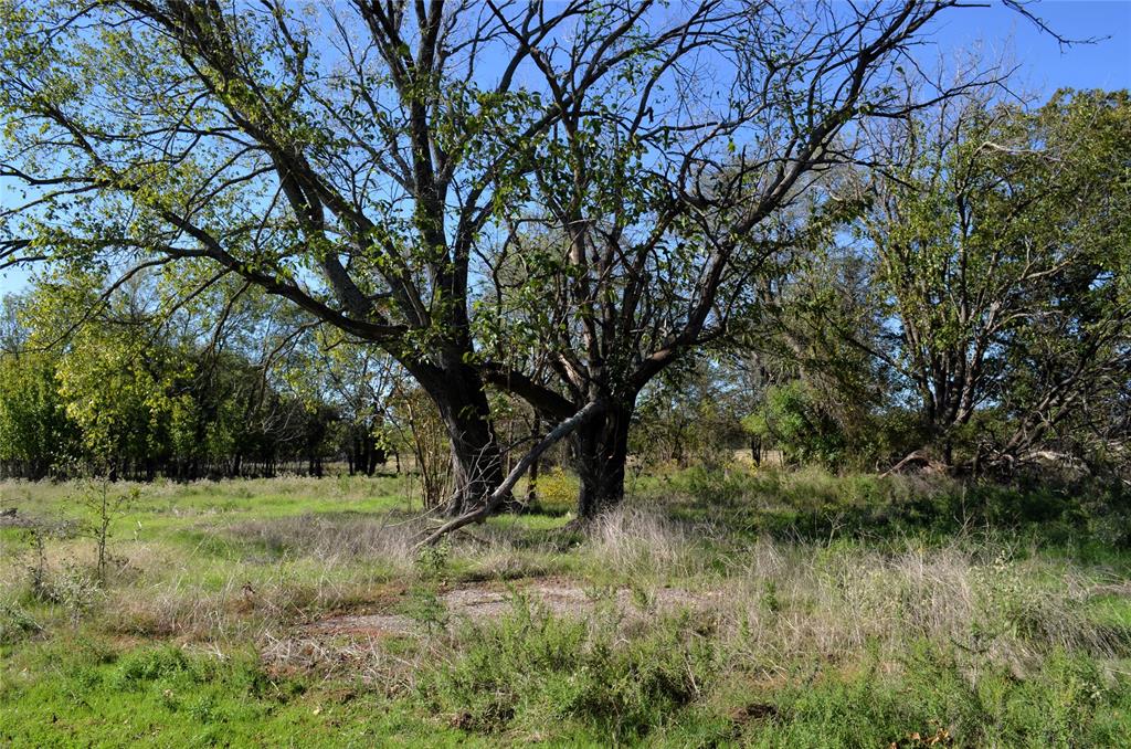 1 Fm 3080 Mabank, TX 75147 - Photo 6 of 19 a view of a green field with lots of bushes