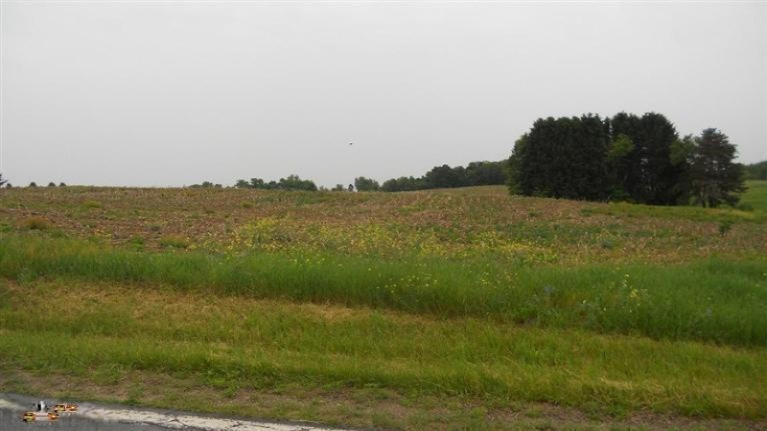 Meadowbrook Road Benton Harbor, MI 49022 - Photo 1 of 5 20140728001753615066000000-o