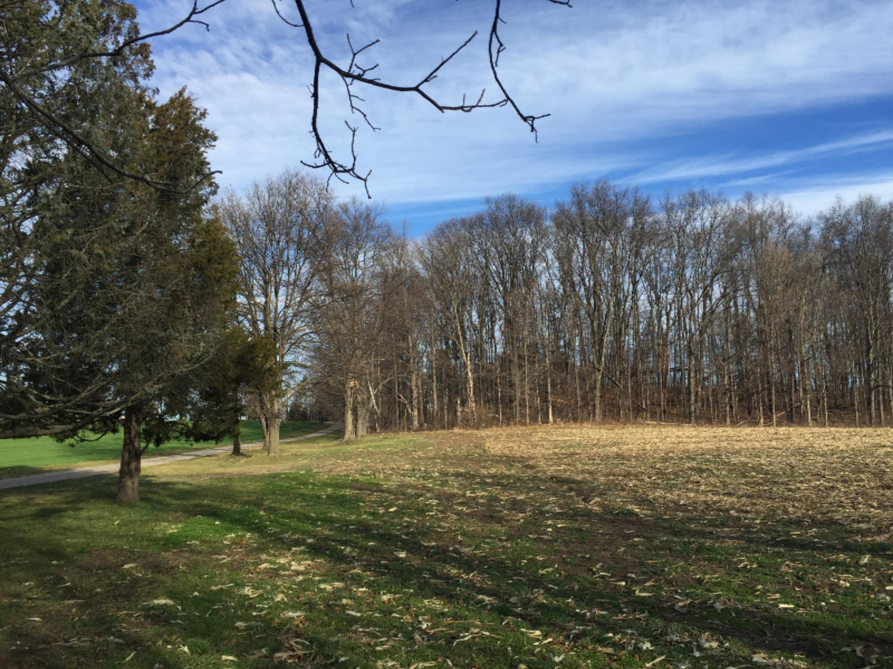 Meadowbrook Road Benton Harbor, MI 49022 - Photo 3 of 5 IMG_0605