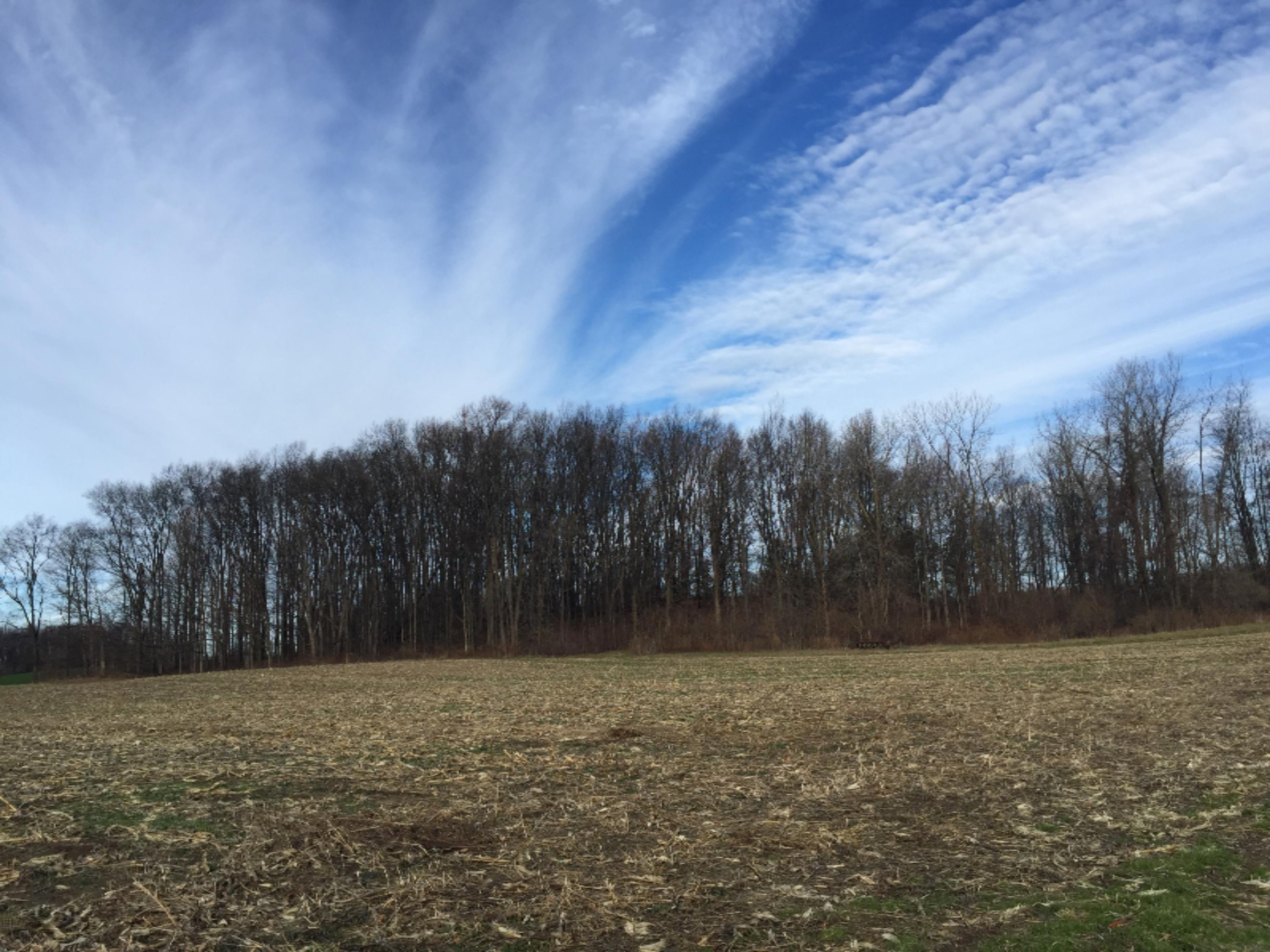 Meadowbrook Road Benton Harbor, MI 49022 - Photo 4 of 5 IMG_0607