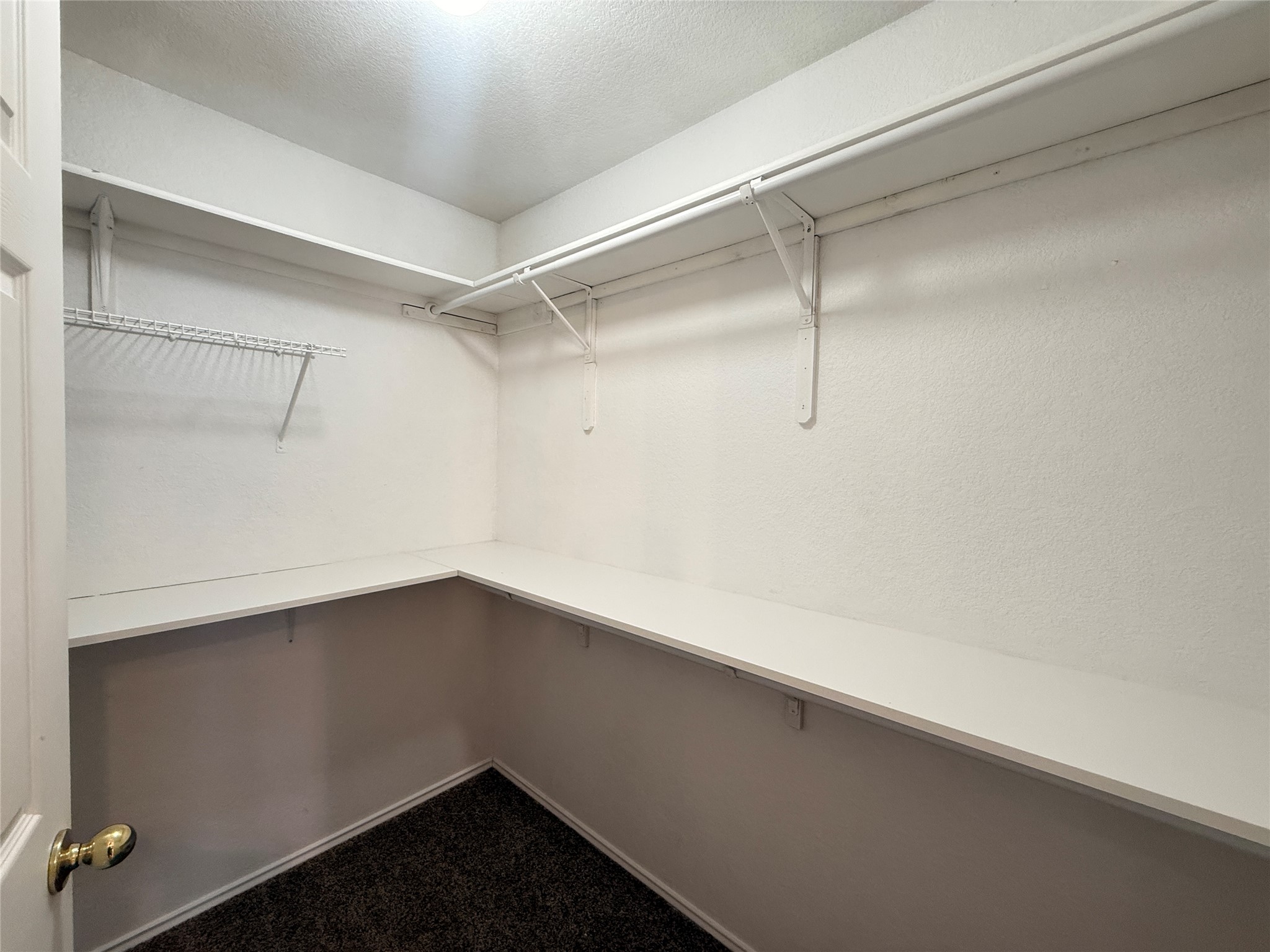 708 Spring Brook Lane Leander, TX 78641 - Photo 16 of 27 Walk in closet with dark colored carpet