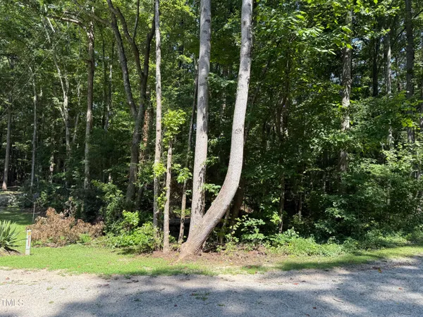 a view of a park with plants and trees