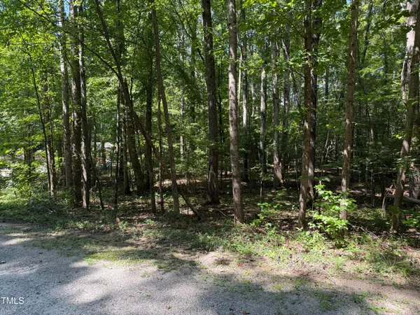a view of outdoor space with trees