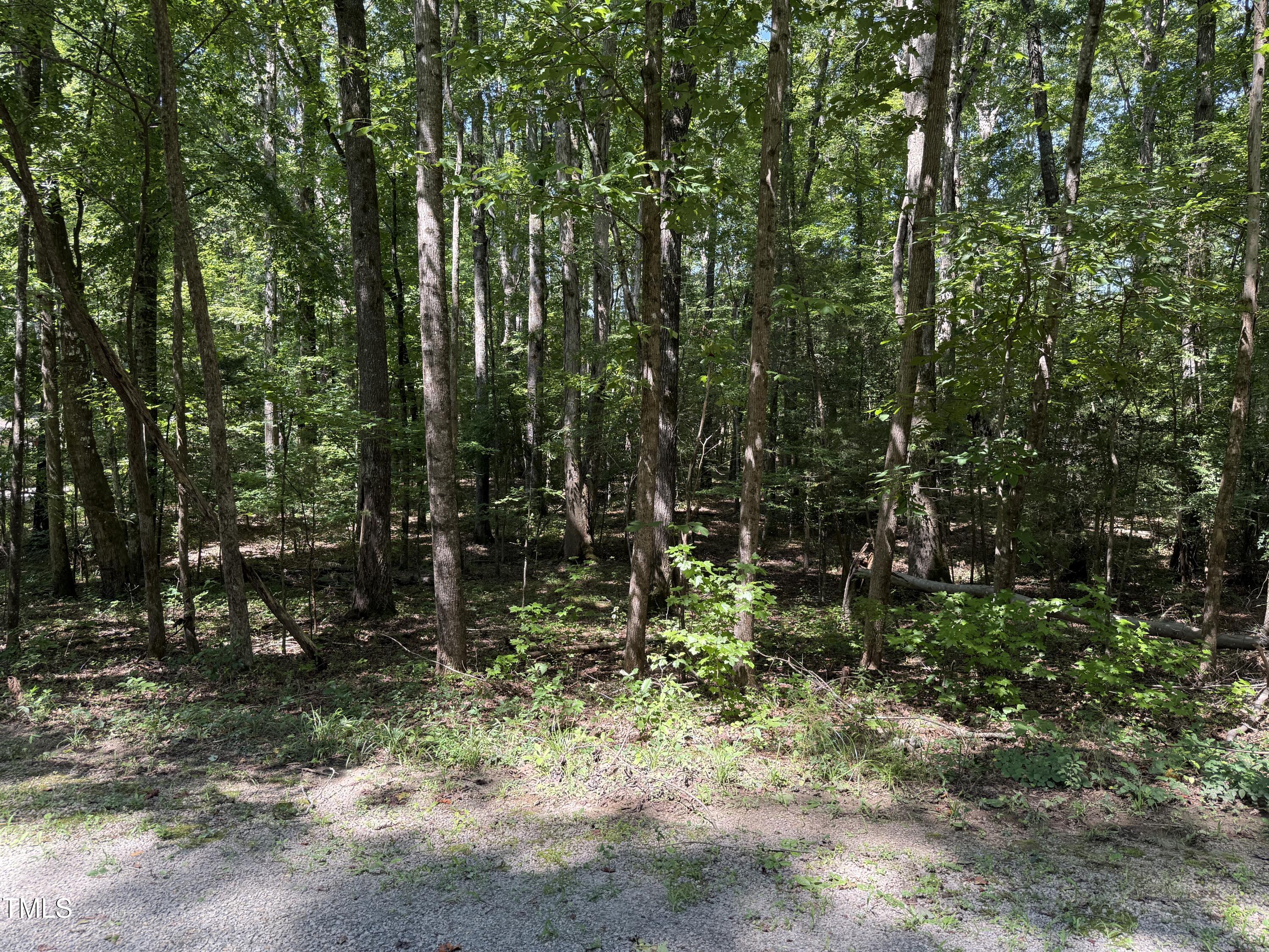 0 Summer Place Macon, NC 27551 - Photo 6 of 19 a view of forest