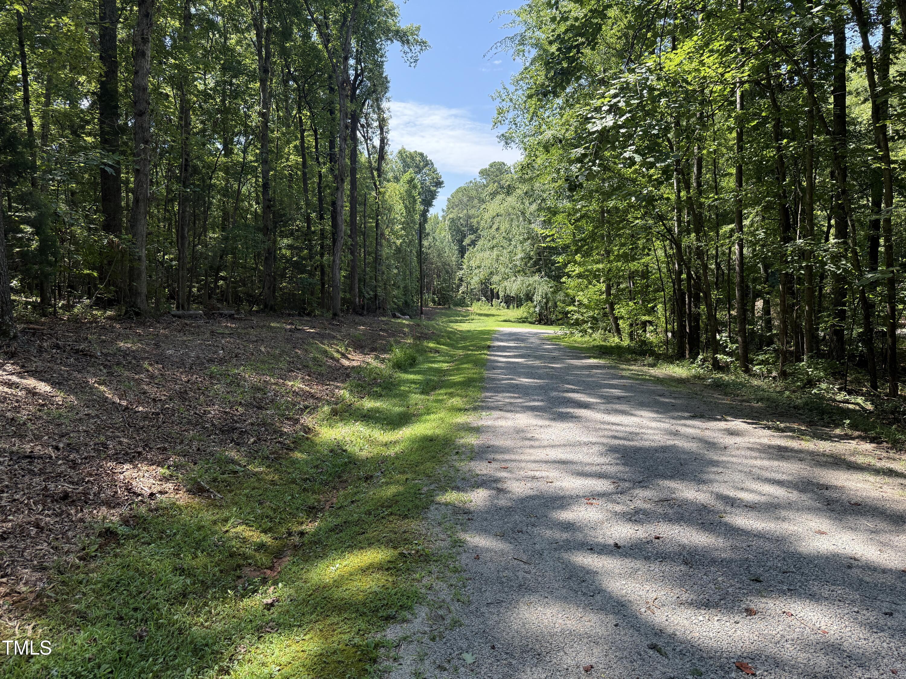 0 Summer Place Macon, NC 27551 - Photo 8 of 19 a view of a trees with a yard