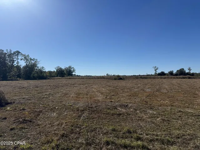 $69,000 | Lot 9 Hwy 71 Wewahitchka, Wewahitchka, FL 32465