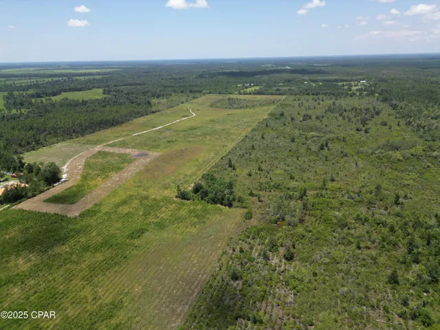 $69,000 | Lot 9 Hwy 71 Wewahitchka, Wewahitchka, FL 32465