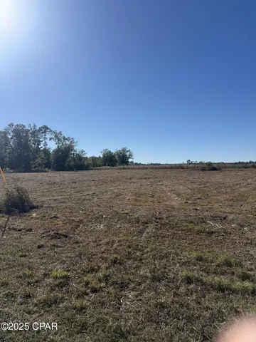 $69,000 | Lot 9 Hwy 71 Wewahitchka, Wewahitchka, FL 32465