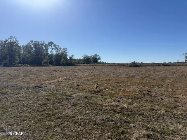 $69,000 | Lot 9 Hwy 71 Wewahitchka, Wewahitchka, FL 32465