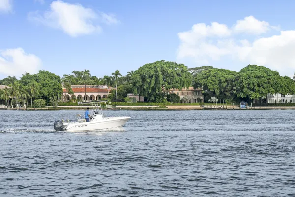 a view of a field with a tree in the background