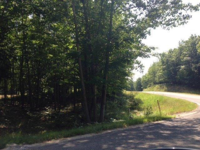 Smith Road Onekama, MI 49675 - Photo 1 of 9 Primary Photo