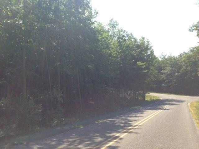 Smith Road Onekama, MI 49675 - Photo 3 of 9 Additional Photo