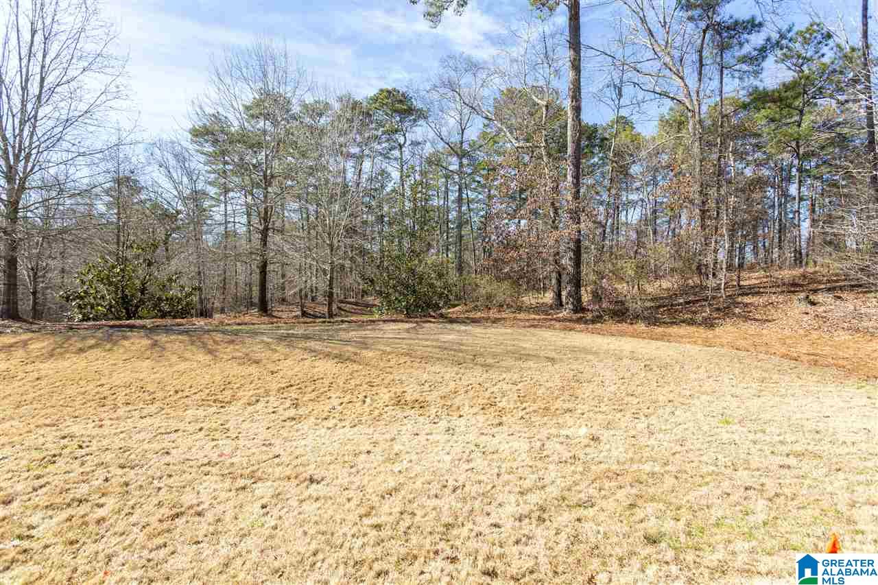1110 Inverness Cove Way Birmingham, AL 35242 - Photo 3 of 37