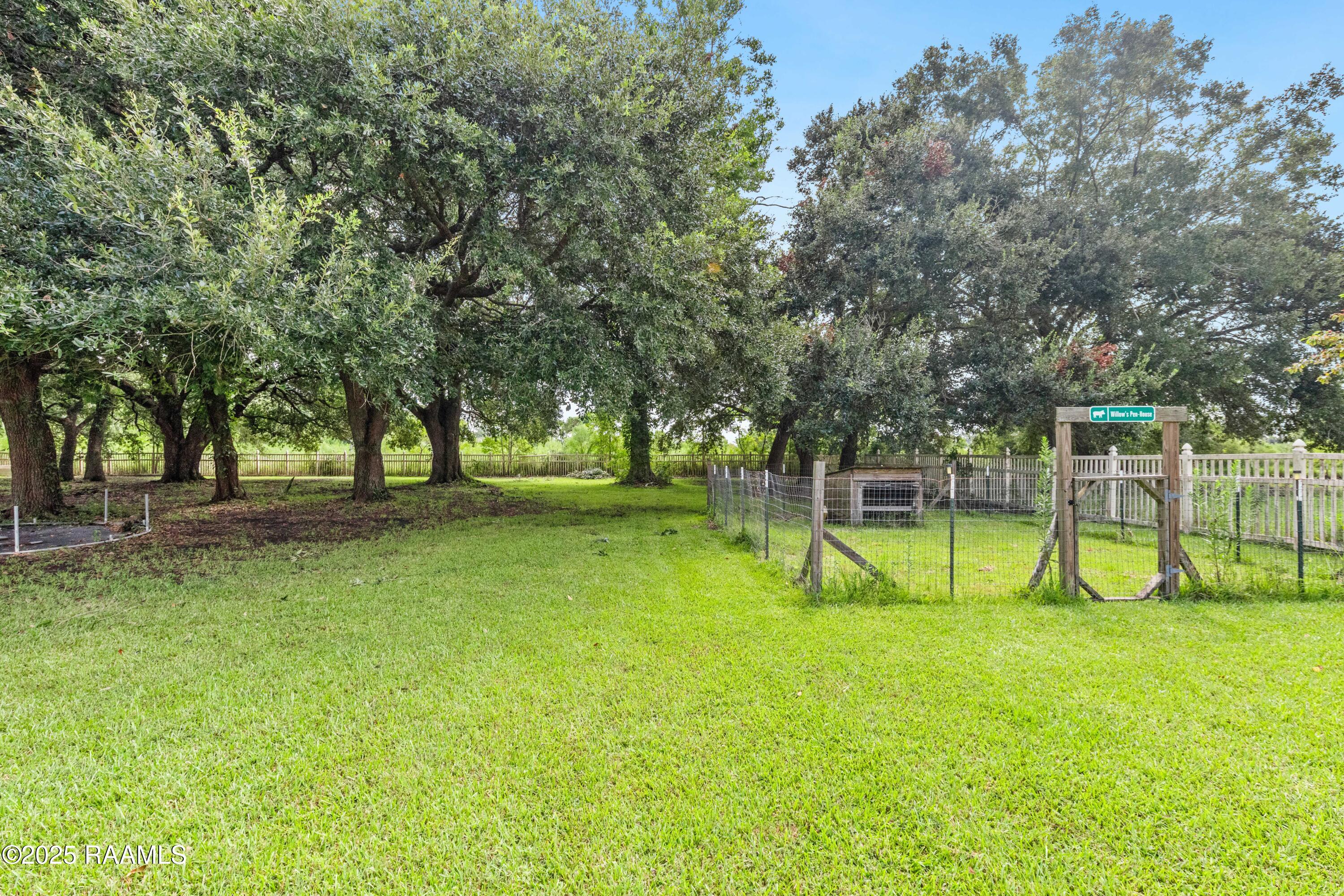 14337 St Elmo Road Erath, LA 70533 - Photo 40 of 47 14337StElmo-16