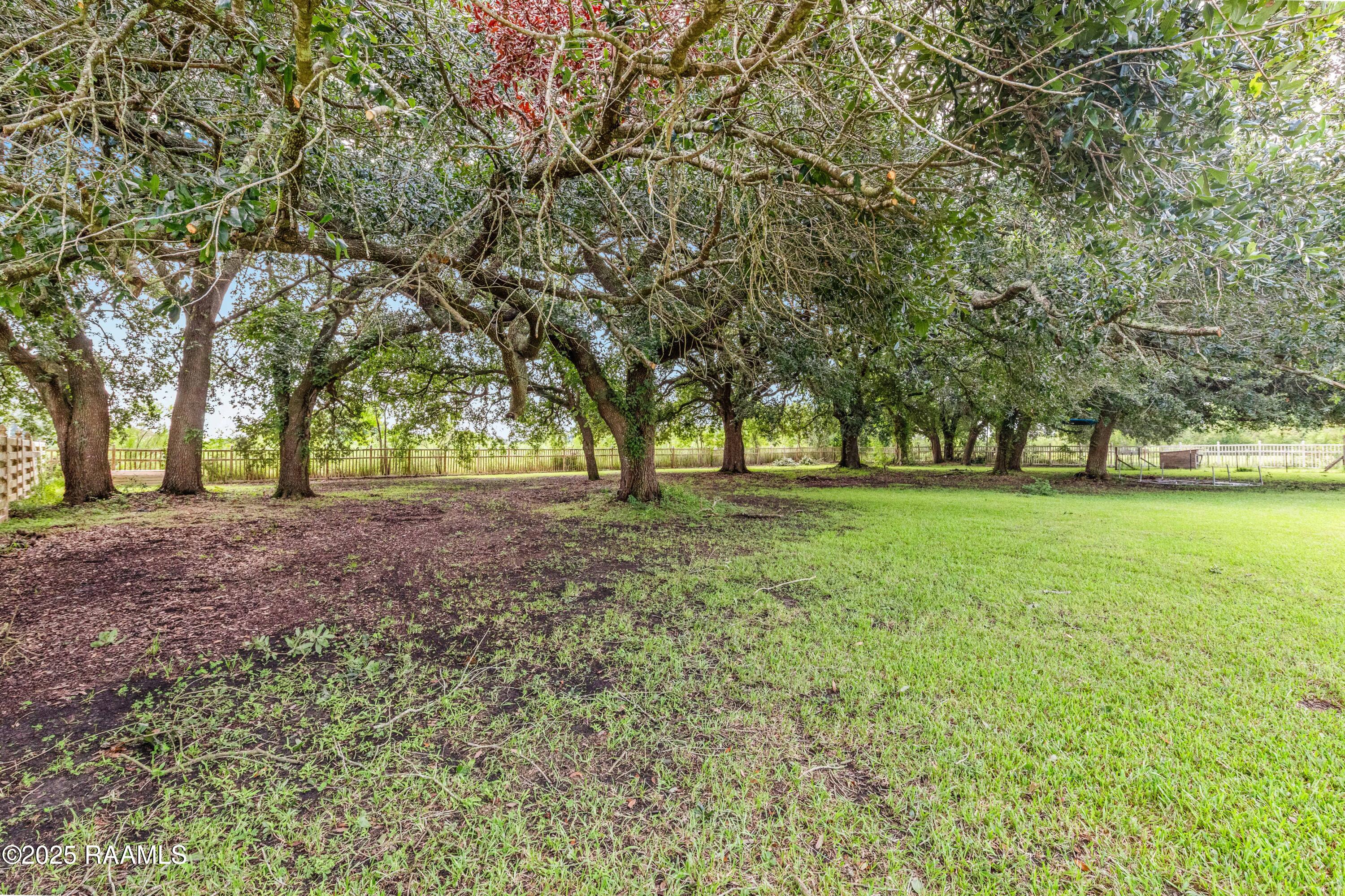 14337 St Elmo Road Erath, LA 70533 - Photo 42 of 47 14337StElmo-13