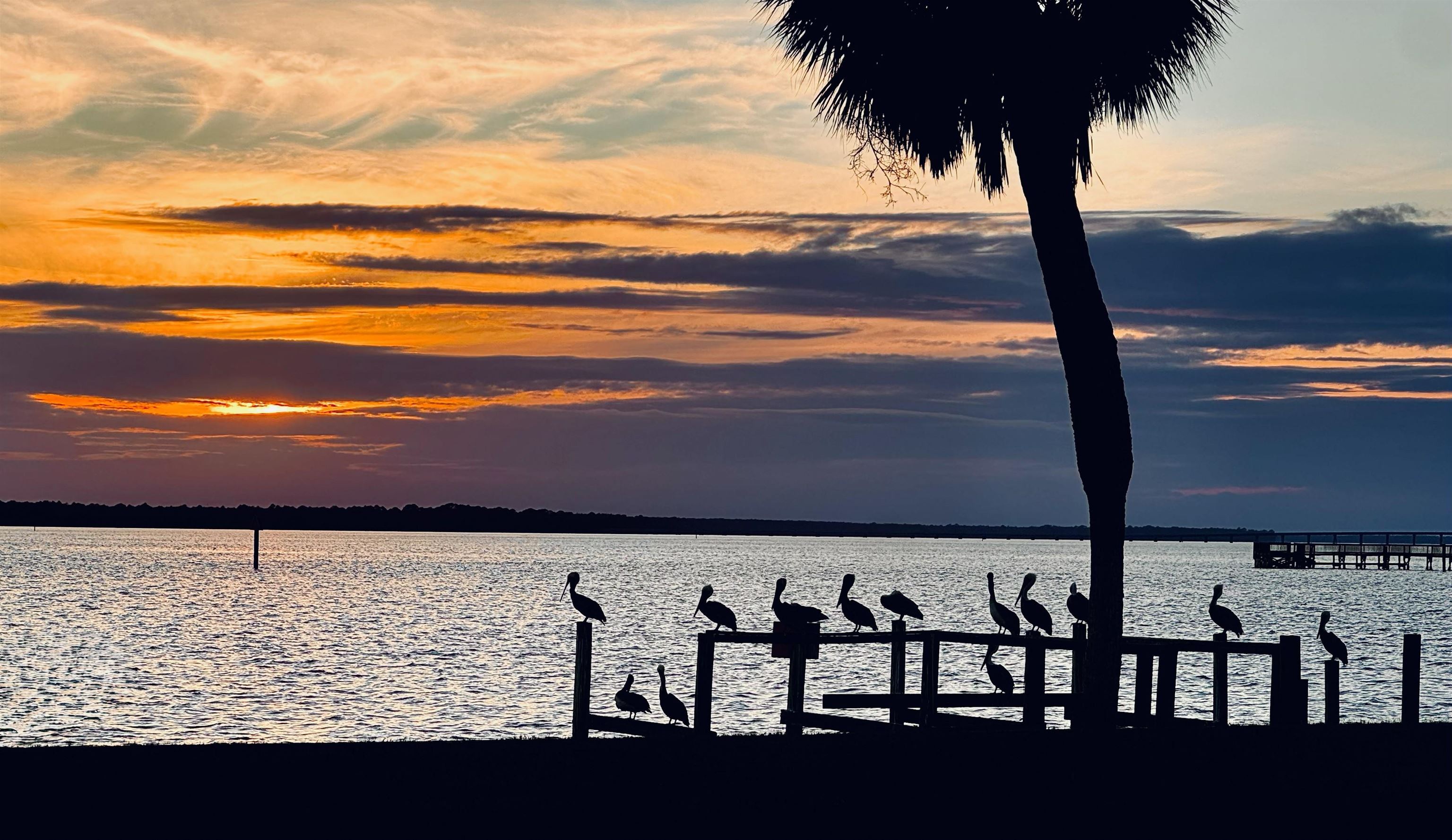 Sunrise Lane, Unit IV Panacea, FL 32346 - Photo 8 of 11