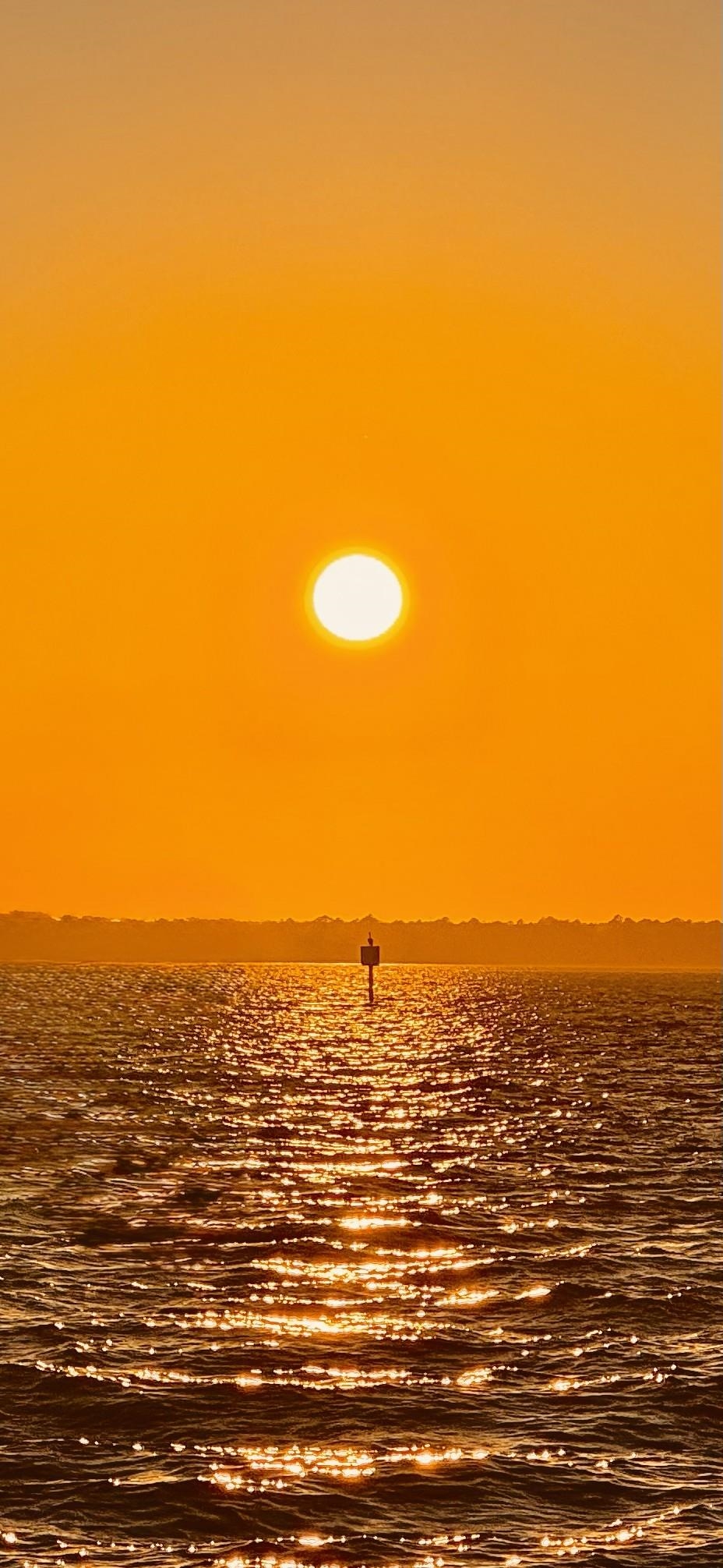 Sunrise Lane, Unit IV Panacea, FL 32346 - Photo 9 of 11