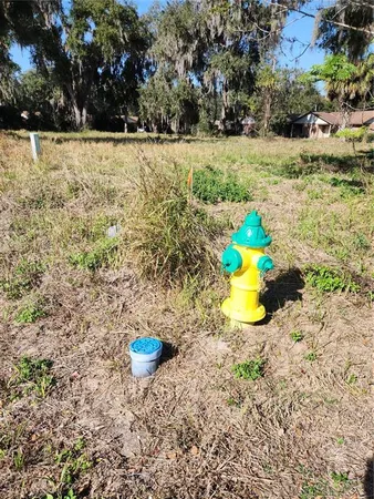 $149,900 | 3814 East C 478, Webster, FL 33597