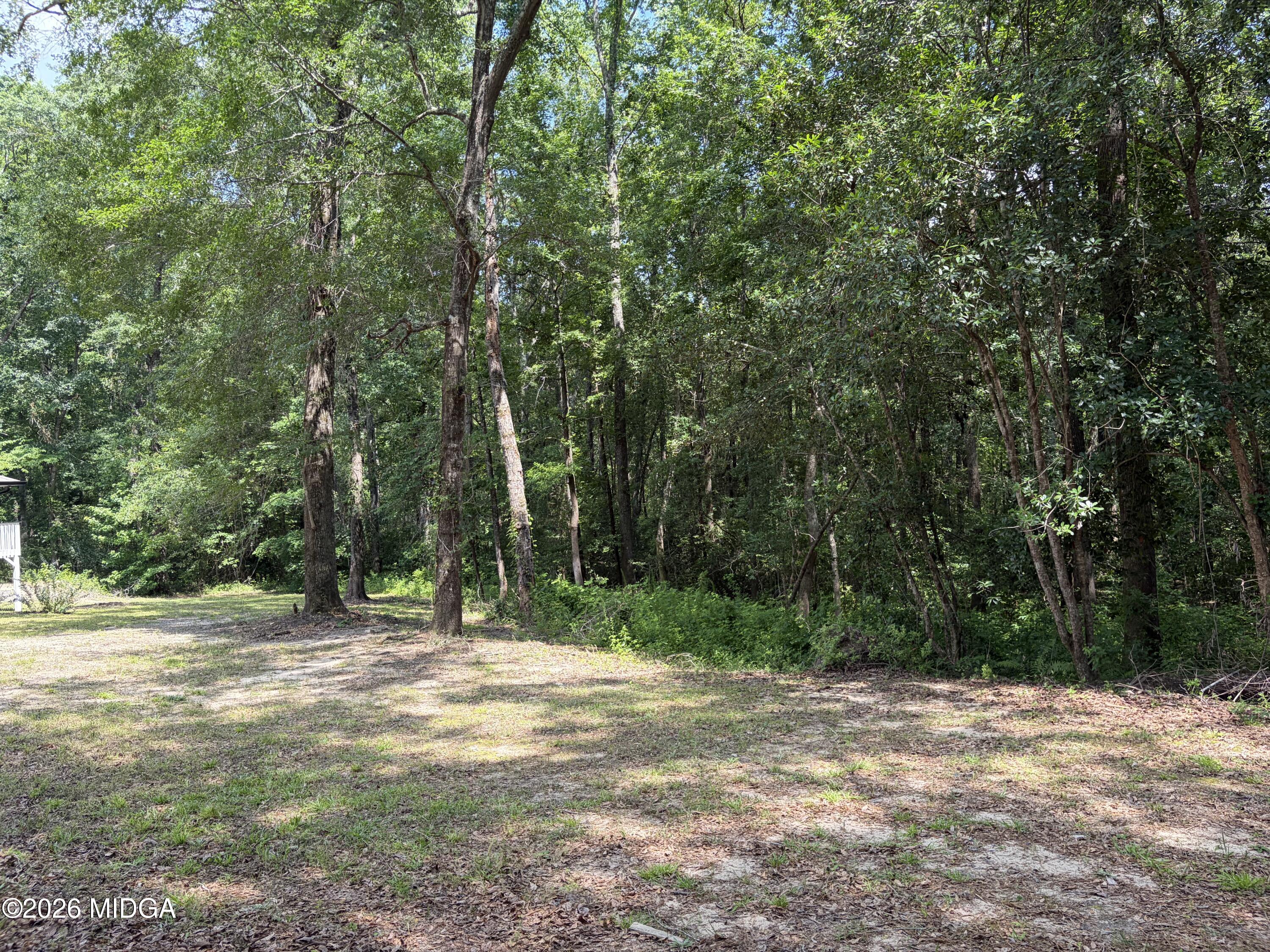 412 Hummingbird Way Lizella, GA 31052 - Photo 10 of 18 IMG_1030