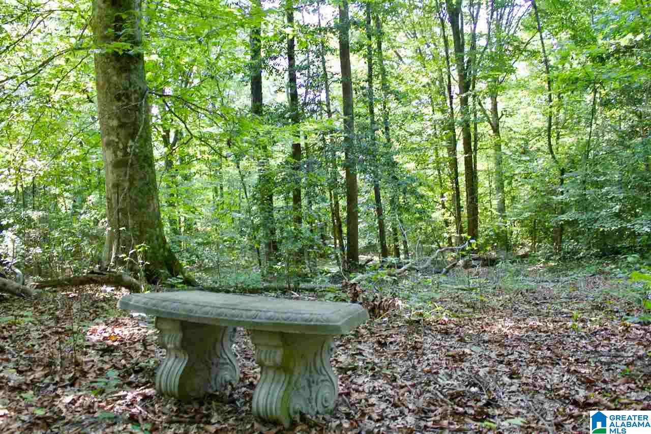 19480 Banks Creek Road Woodstock, AL 35188 - Photo 21 of 22