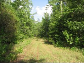 0 Columbia Road Augusta, GA 30907 - Photo 1 of 1 Main View