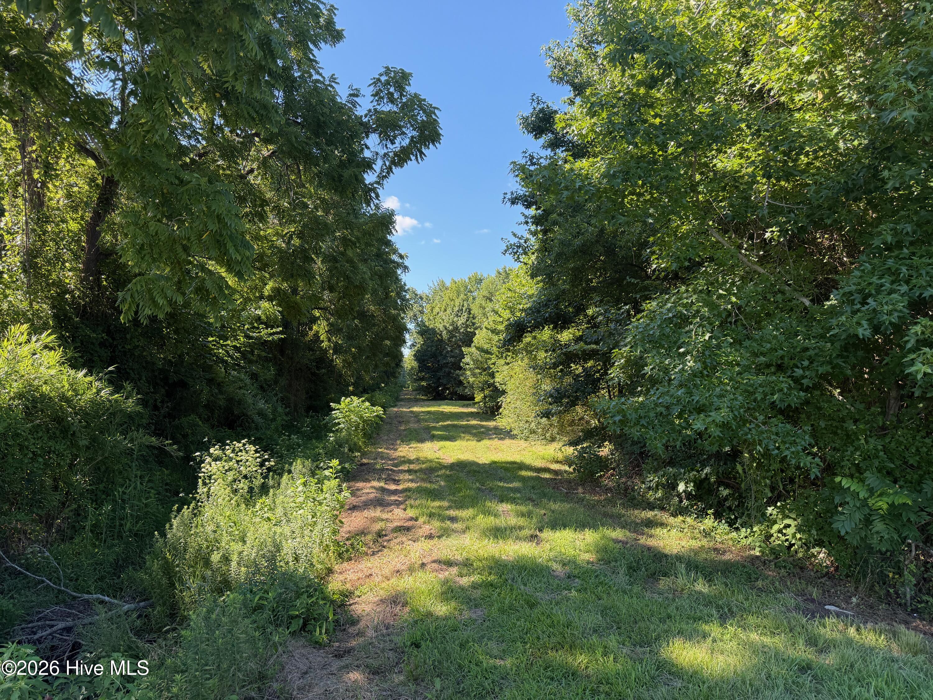 Lot #2 Hopewell Road Edenton, NC 27932 - Photo 1 of 1