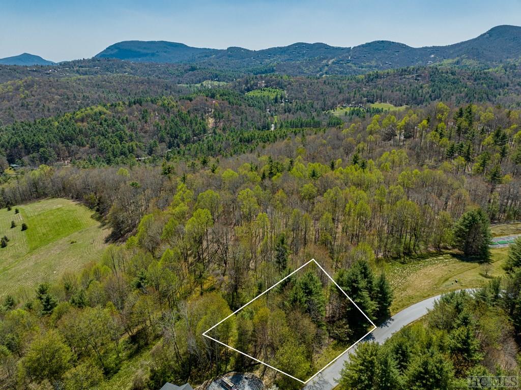 Lot 20 Trillium Ridge Road Sapphire, NC 28774 - Photo 3 of 17 Gallery Image 3