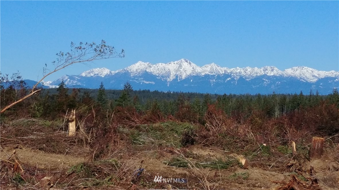 -lot4 Lot4 Benson Ridge Road Grapeview, WA 98546 - Photo 1 of 2 Gallery Image 1