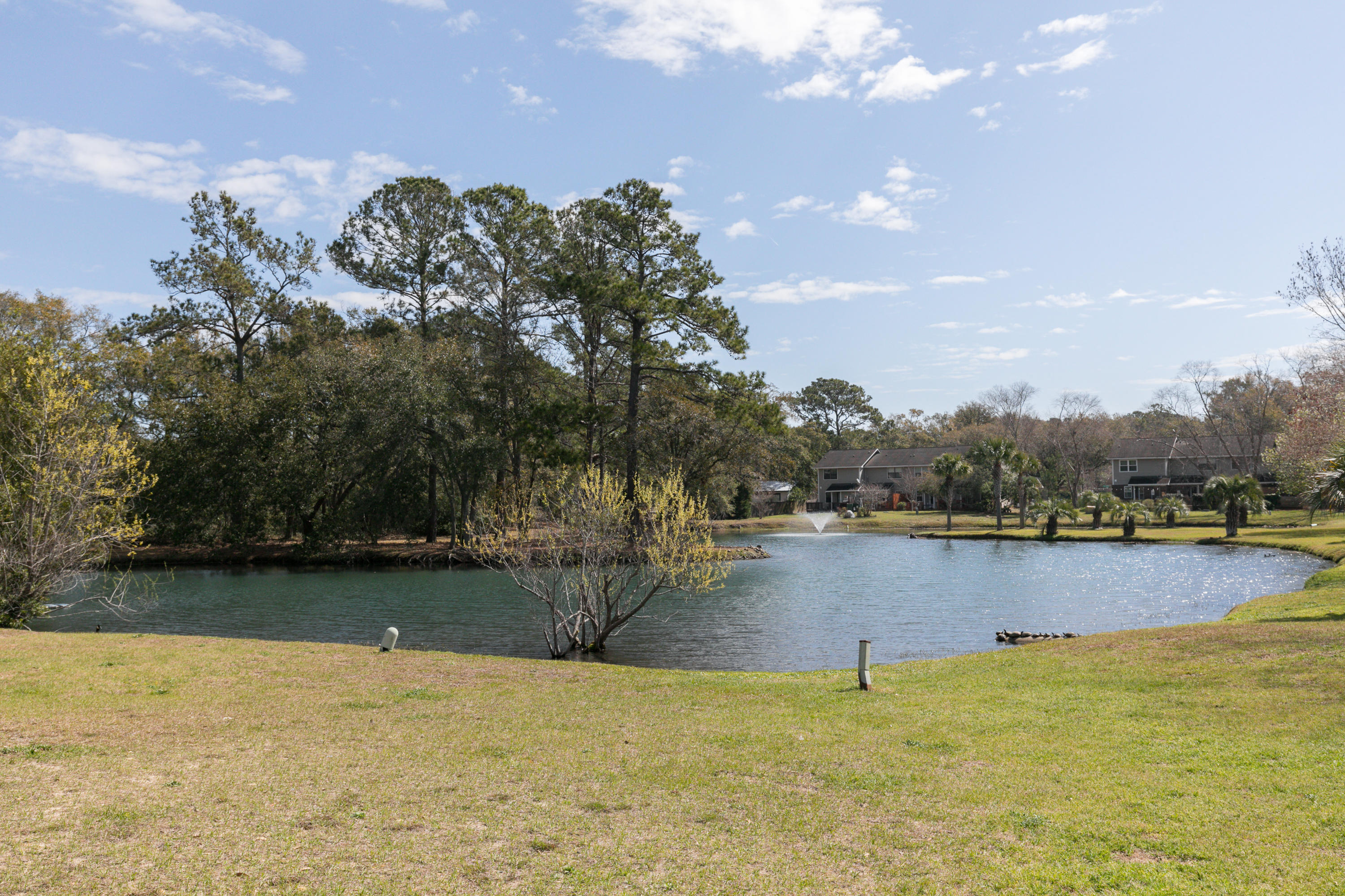 1196 Julian Clark Road, Unit 9 Charleston, SC 29412 - Photo 5 of 15 6-1196 Julian Clark-MLS