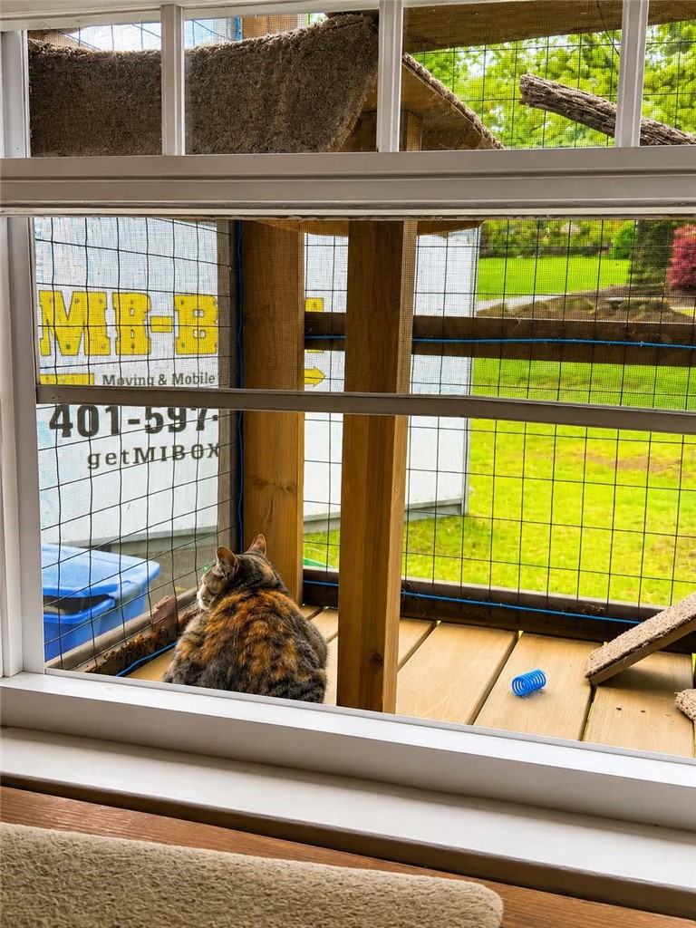 625 Mendon Road Cumberland, RI 02864 - Photo 25 of 28 digitally enhanced- cat catio