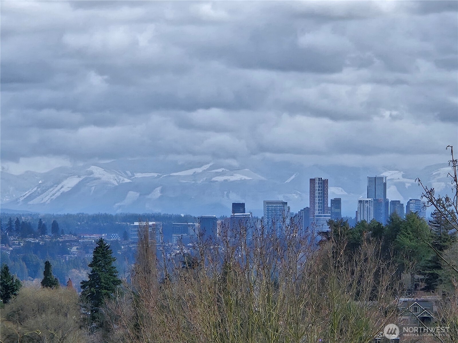 1810 23rd Avenue, Unit A Seattle, WA 98122 - Photo 25 of 26 a view of a city with lush green forest