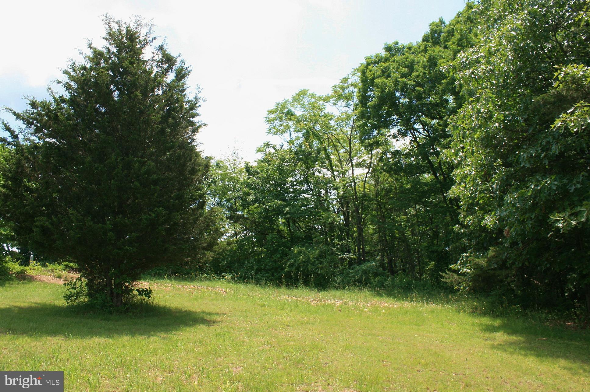 Johnson Mill Berkeley Springs, WV 25411 - Photo 11 of 14 EASY TO MAINTAIN YARD
