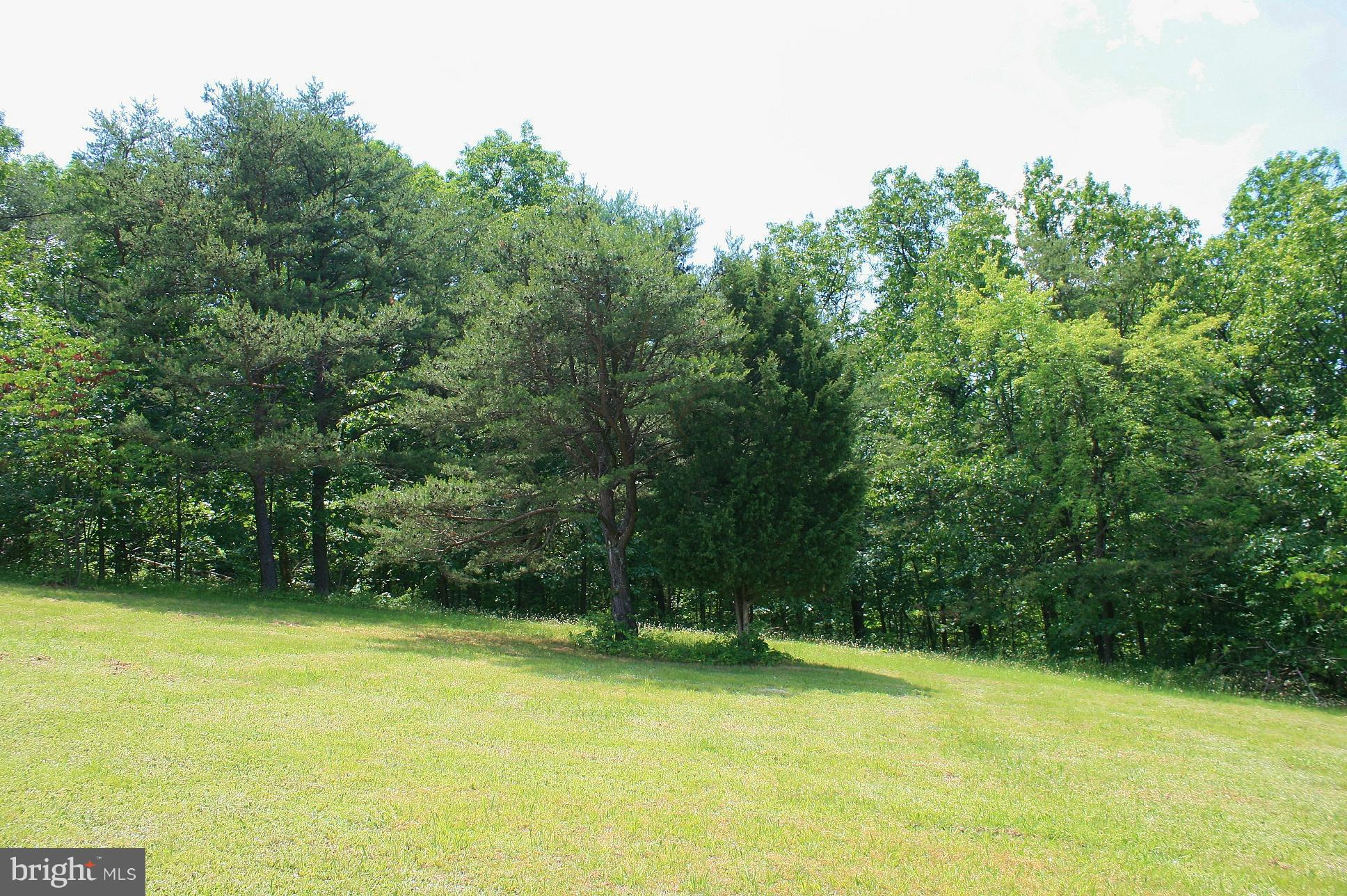 Johnson Mill Berkeley Springs, WV 25411 - Photo 4 of 14 SEPTIC & WELL PERMIT APPLIED FOR